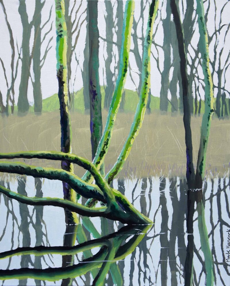 Flooded Forest